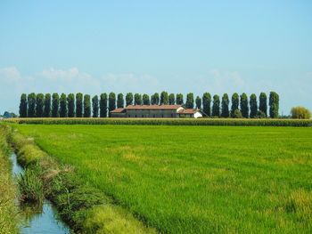 Built structure on field against sky