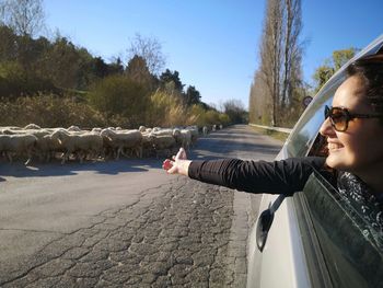 Woman peeking from car with sheep on road against sky