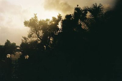 Silhouette of trees against sky at sunset