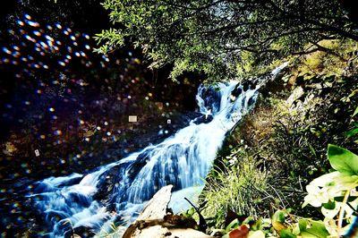 Waterfall in forest