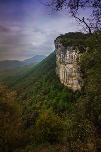 Scenic view of forest against sky