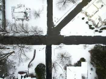 Close-up of bare tree in winter