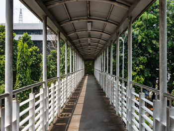 Footbridge over footpath amidst trees