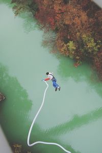 High angle view of man jumping in water