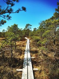 Boardwalk amidst trees on field against sky