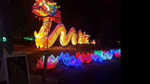 Illuminated christmas tree at night