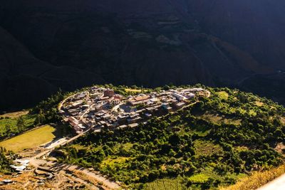 High angle view of trees on mountain