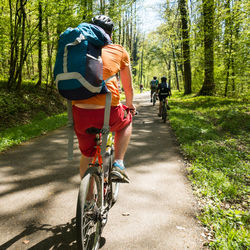 Rear view of backpacker riding bicycle on road in forest