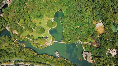 High angle view of tree on field by lake