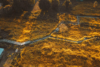 High angle view of road