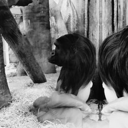 People relaxing at zoo