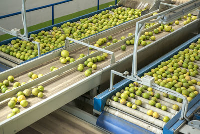 Fruits for sale in market