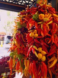 Close-up of red flowers