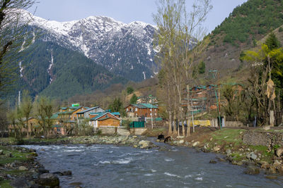 Houses by trees and mountains against sky