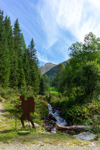 Hiking in south tyrol - italy -  gsieser tal/val casies-welsberg/monguelfo-taisten/tesido