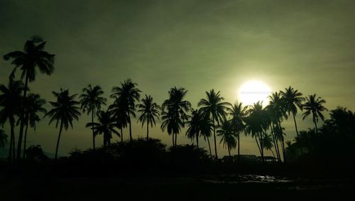 Silhouette palm trees against sky during sunset