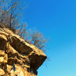 Low angle view of tree against clear blue sky