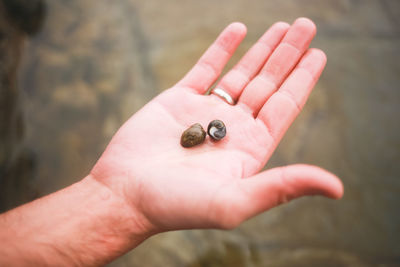 Close-up of hand holding snail