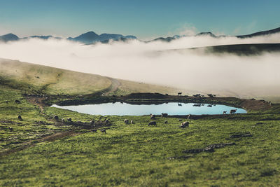 Scenic view of landscape against sky