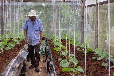 Man working in farm