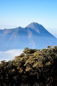 Merbabu mountain national park