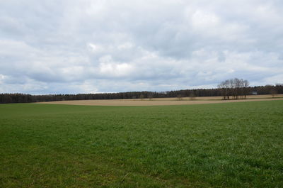 Scenic view of field against sky