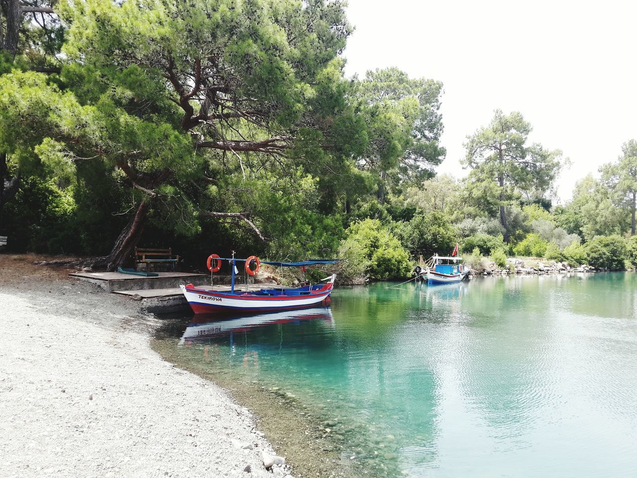 nautical vessel, boat, transportation, tree, mode of transport, water, moored, tranquility, nature, tranquil scene, waterfront, travel, lake, day, river, beauty in nature, clear sky, sky, growth, scenics