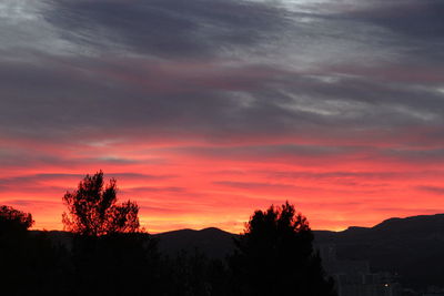 Silhouette trees against sky at sunset