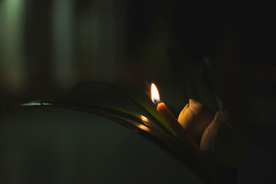 Close-up of burning candle