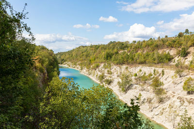 Scenic view of river amidst trees against sky