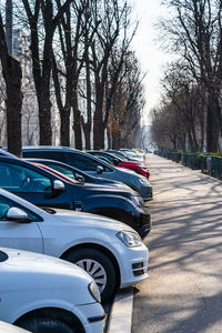 Cars parked on street in city