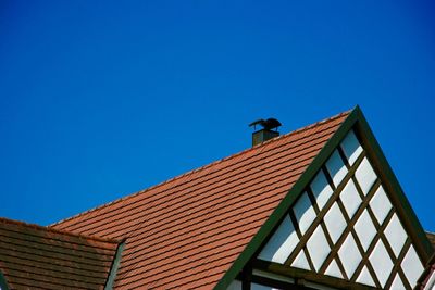 Low angle view of bird on roof of building against blue sky
