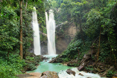 Scenic view of waterfall in forest