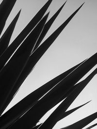 Low angle view of built structure against clear sky