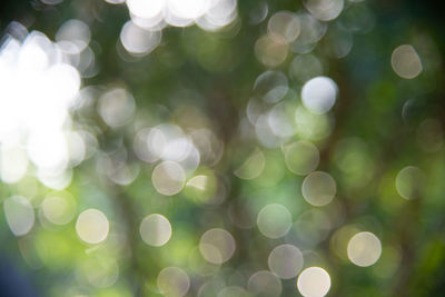 Defocused image of illuminated lights