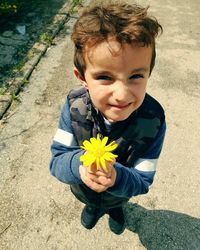 High angle portrait of cute boy with yellow flower