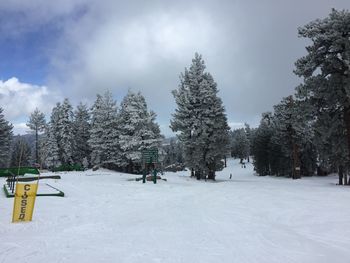 Scenic view of snow covered landscape