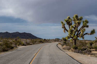Road amidst plants against sky