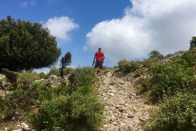 Rear view of man standing by plants against sky