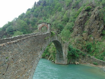 Arch bridge over river amidst trees