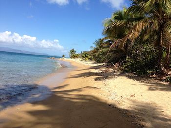 Scenic view of beach against cloudy sky