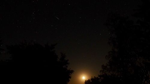 Low angle view of silhouette trees against sky at night