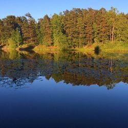 Reflection of trees in lake against sky