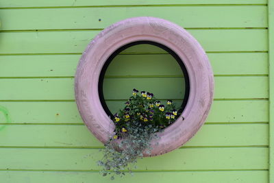 Directly above shot of potted plant on window