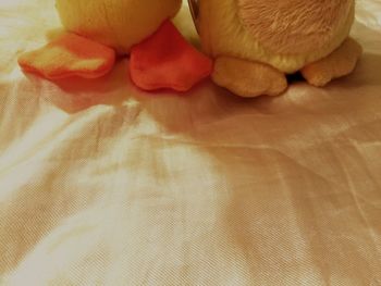 Close-up of human hand