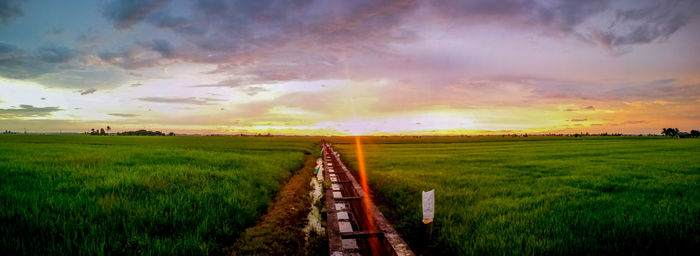 Scenic view of agricultural field against sky during sunset