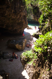 View of trees on rock