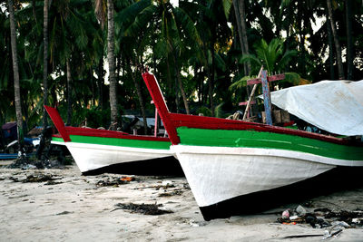 Boat moored on shore against trees