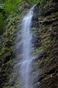 Low angle view of waterfall in forest