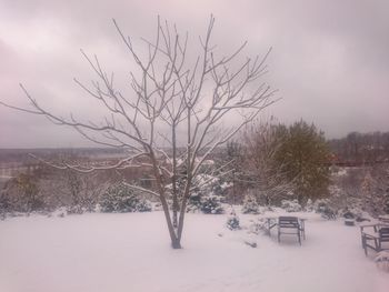 Bare tree against sky during winter